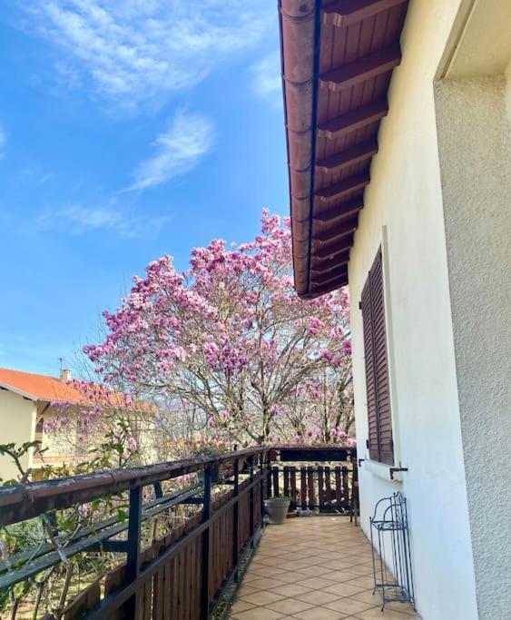 Apartamento La Terrasse Du Fourcat Saint-Paul-de-Jarrat Exterior foto
